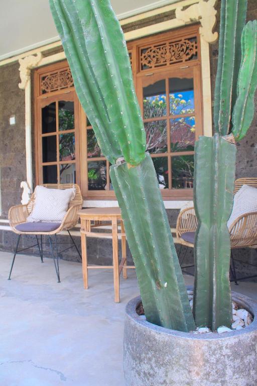 The Inn Possible - 5