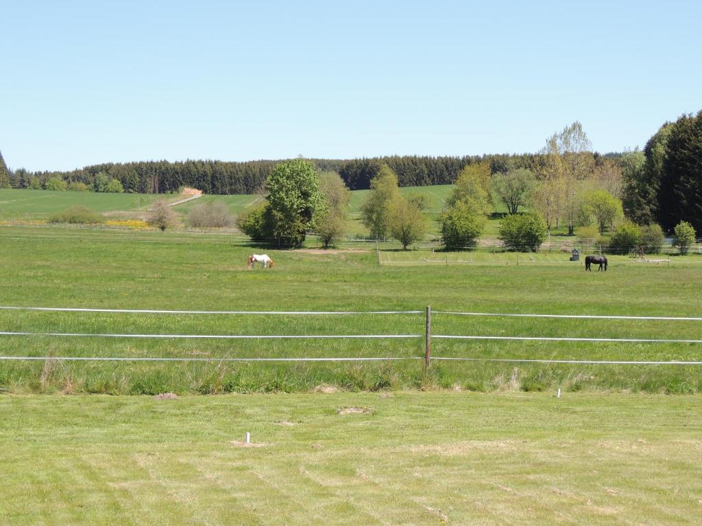 Příroda nedaleko apartmánu