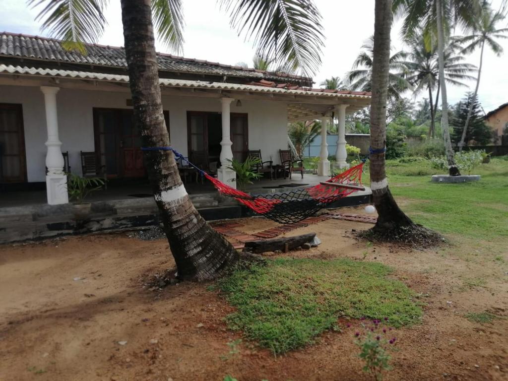 a house with a hammock between two palm trees at Sea View Resort in Galle