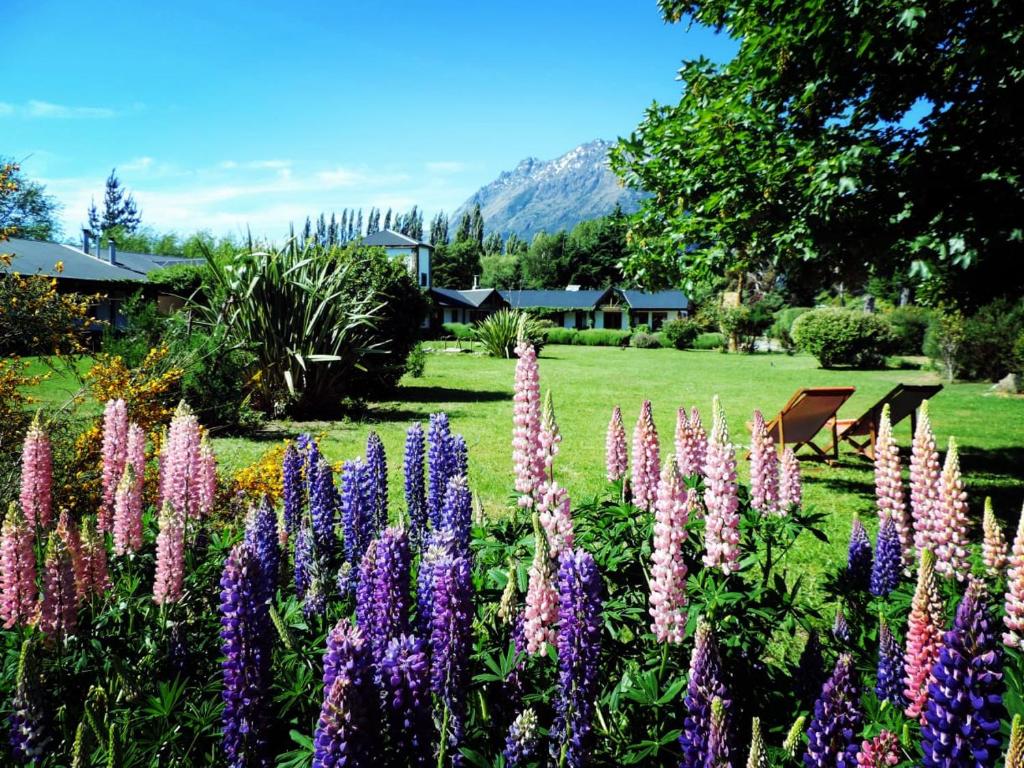 Garður fyrir utan Hosteria El Hoyo