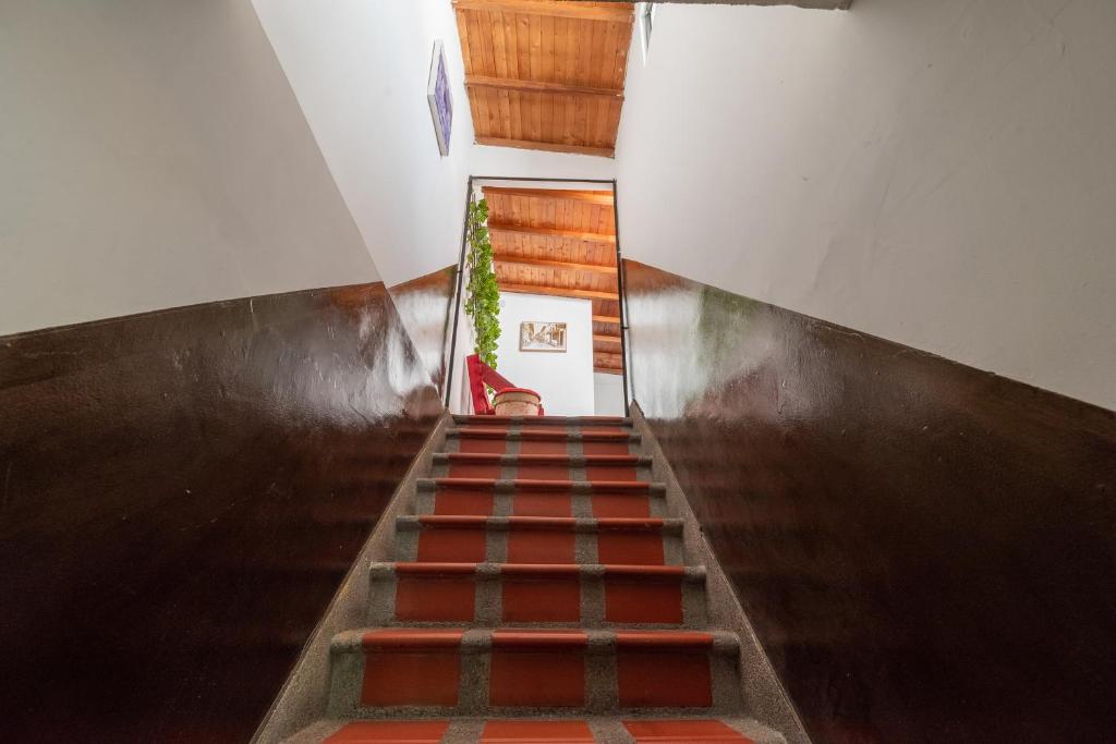 Fotografie z fotogalerie ubytování CAMPO VALDES PARK HOSTEL v destinaci Medellín