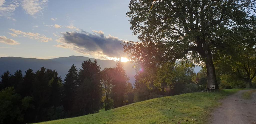 Paesaggio naturale nelle vicinanze dell'affittacamere