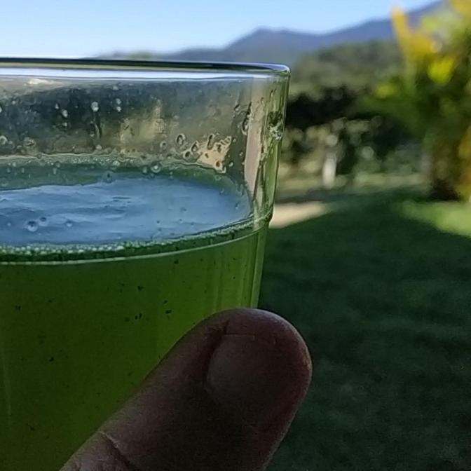  De bem com a vida - piscina e ofurô exclusivos para o hóspede