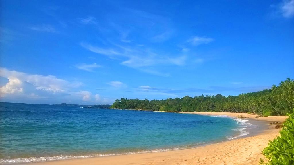 einen Strand mit blauem Wasser und Bäumen im Hintergrund in der Unterkunft Sandhara Home Stay in Tangalle