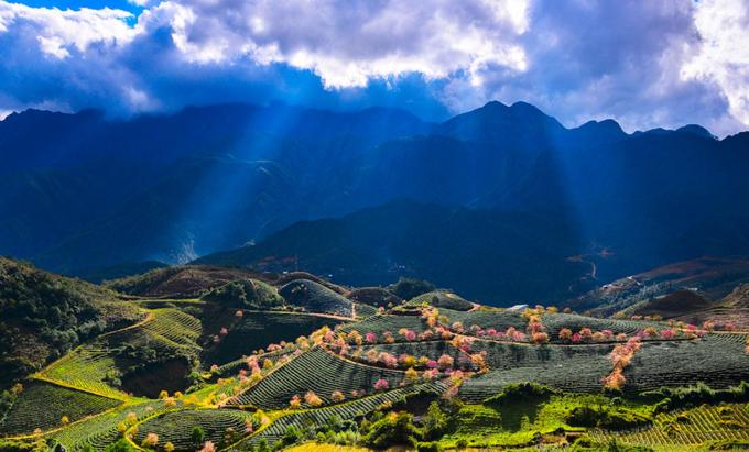 vista su una valle con alberi e montagne di Sapa Dao Homestay a Sa Pa