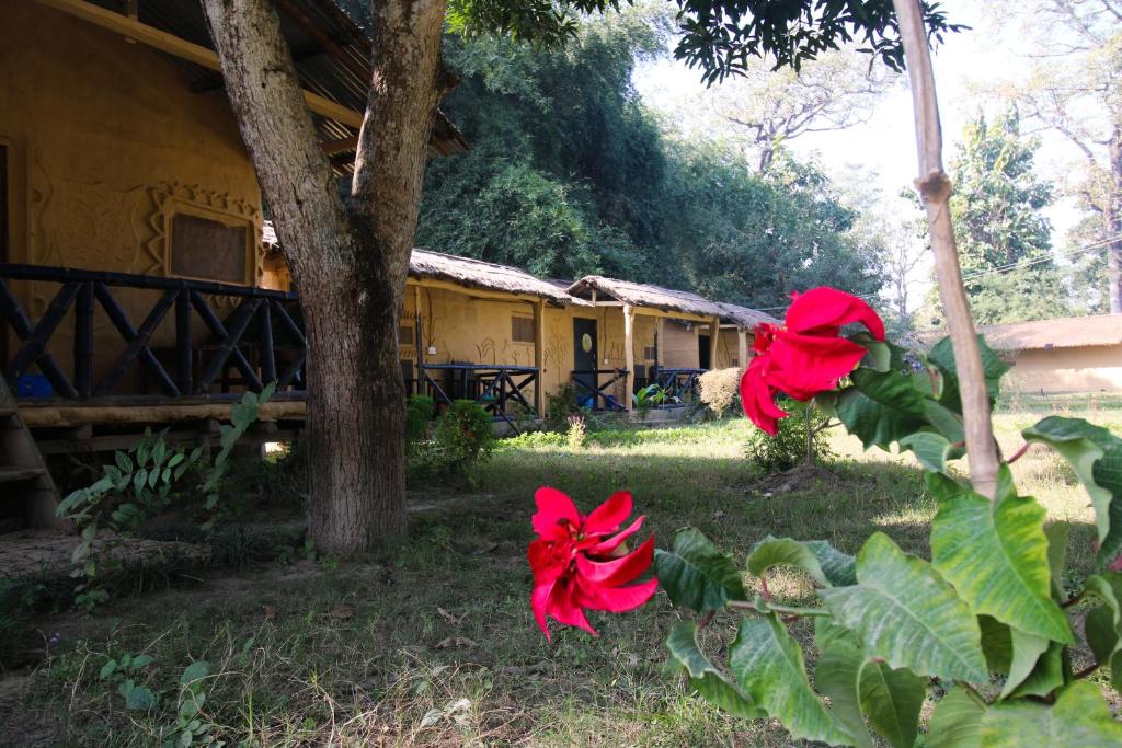 Zahrada ubytování Wild Planet Eco Retreat