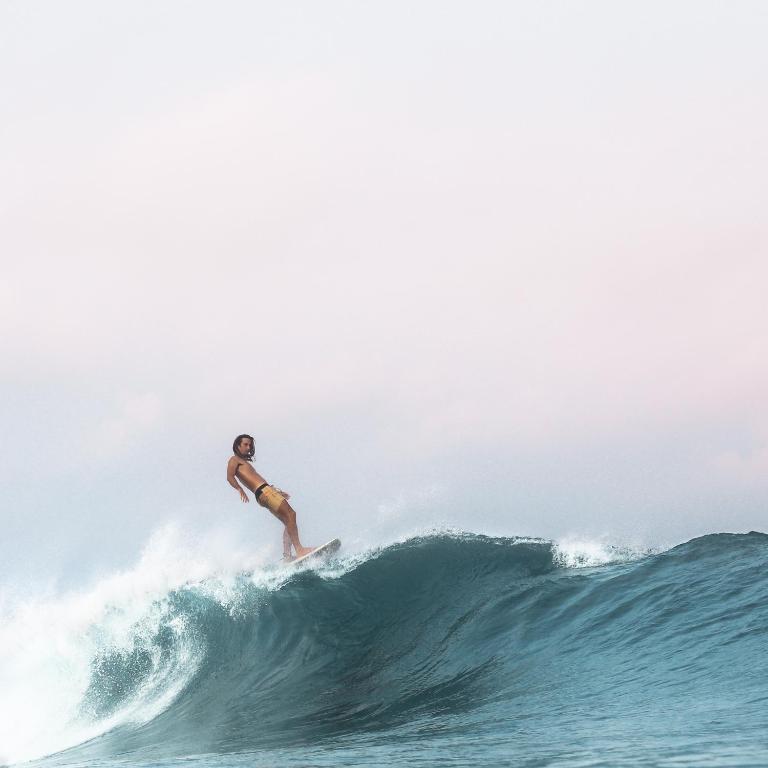 All inclusive surf lodge: Driftwood Mentawai