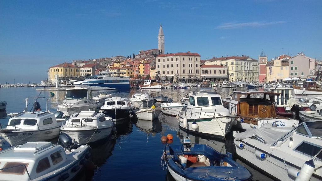 Apartment Ylenia – Photos 1