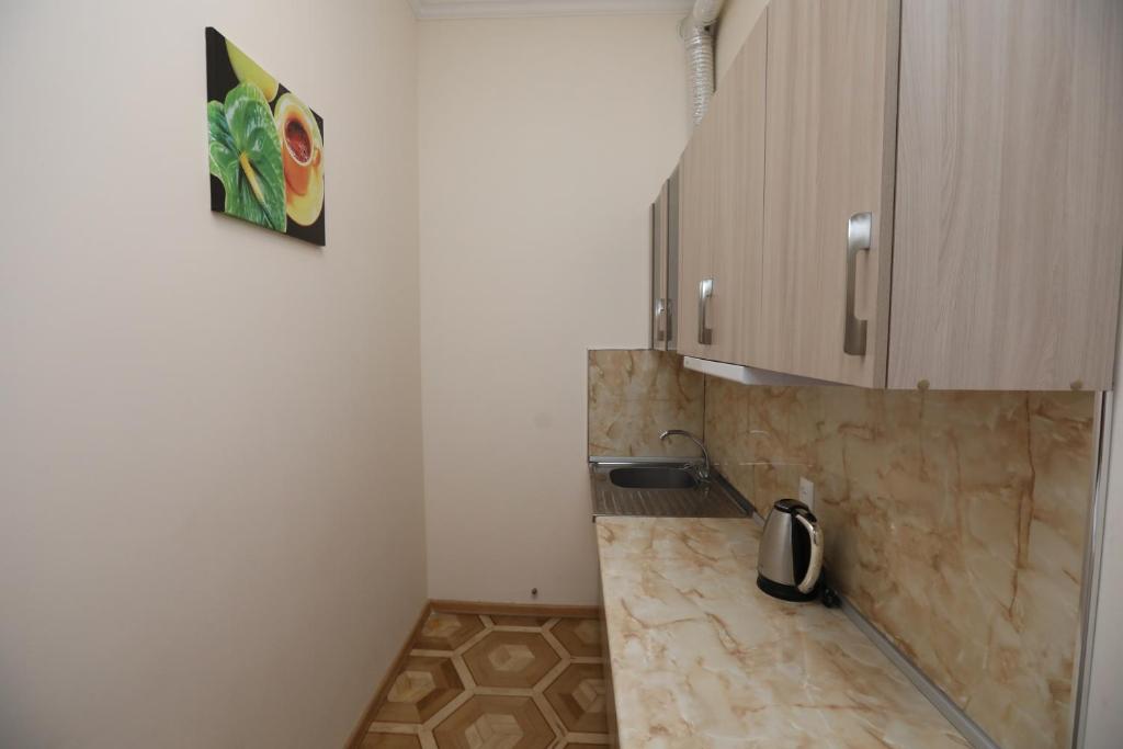Kuchyň nebo kuchyňský kout v ubytování Alba Hotel Yerevan