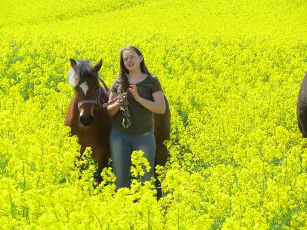 a girl with a horse in a field of yellow flowers at Ferienhof Martens in Sörup