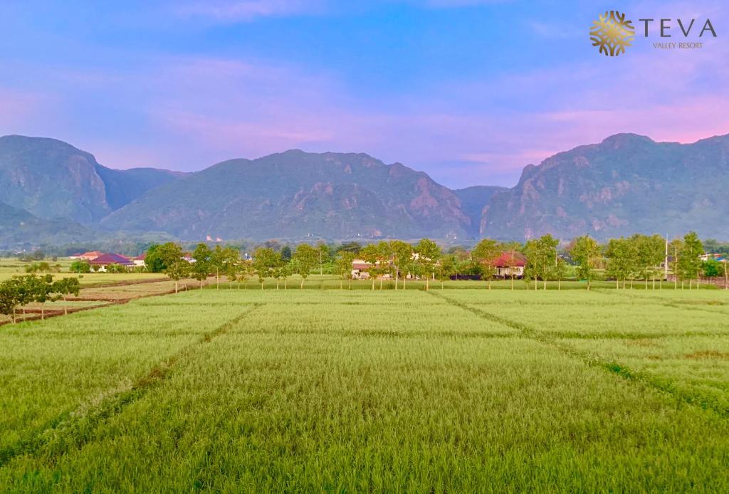 TEVA Valley Resort - Resim 39