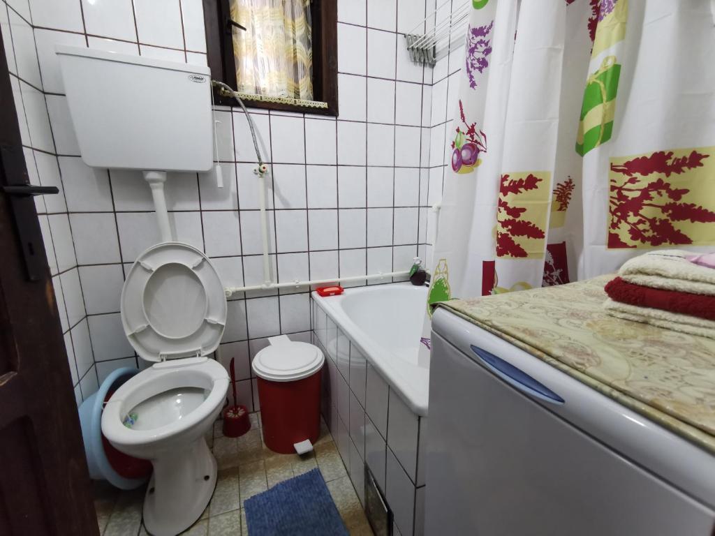 Koupelna v ubytování Konak Pahulja TARA