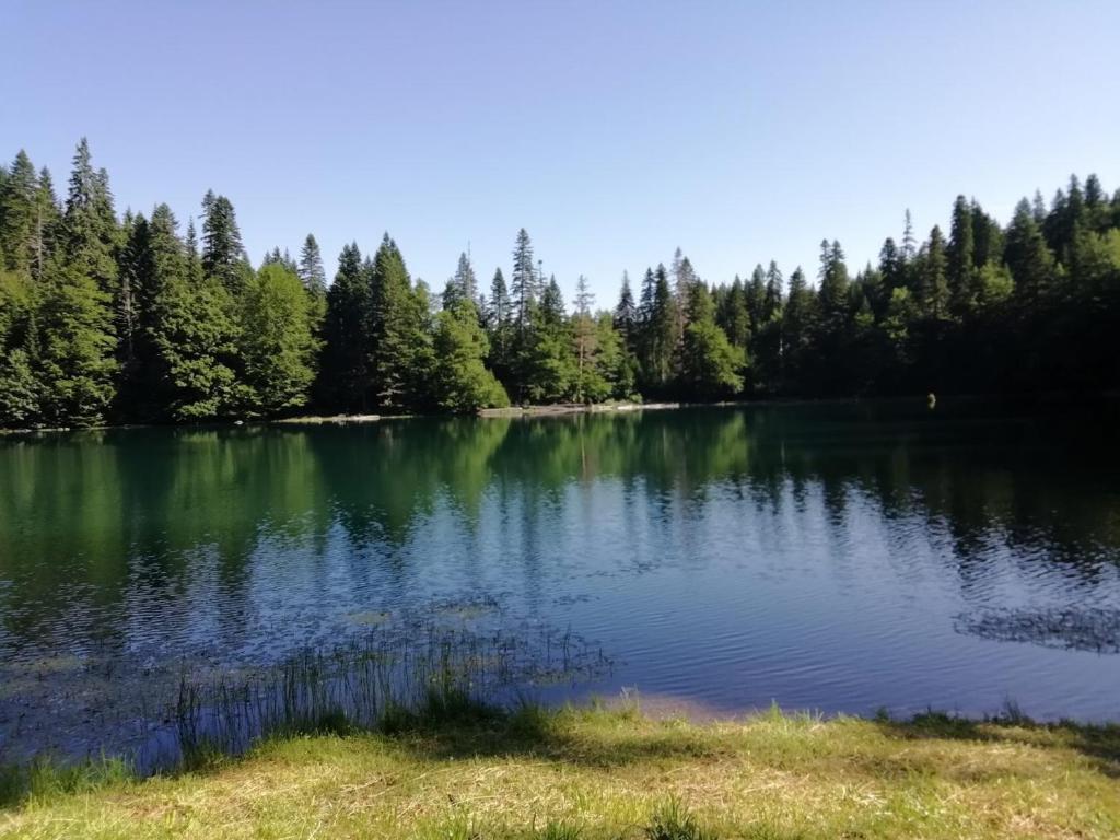 Camp Zabojsko lake في مويكوفاتش: بحيرة كبيرة فيها اشجار في الخلفية