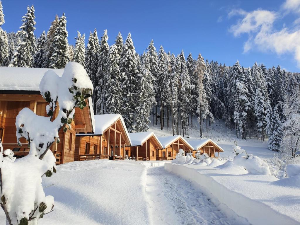 a lodge in the snow with snow covered trees at Alpenchalets Mair in Sesto