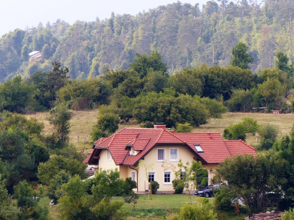 una casa con techo rojo en una colina en Bed and Breakfast Trnje, en Pivka