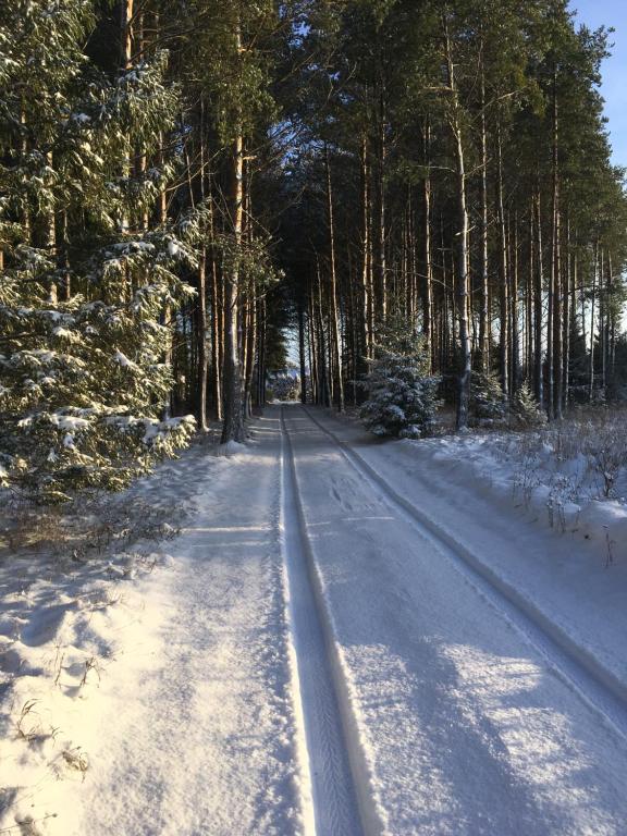 Käänu puhkemaja v zimě
