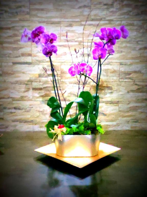 Vivienda vacacional - 7