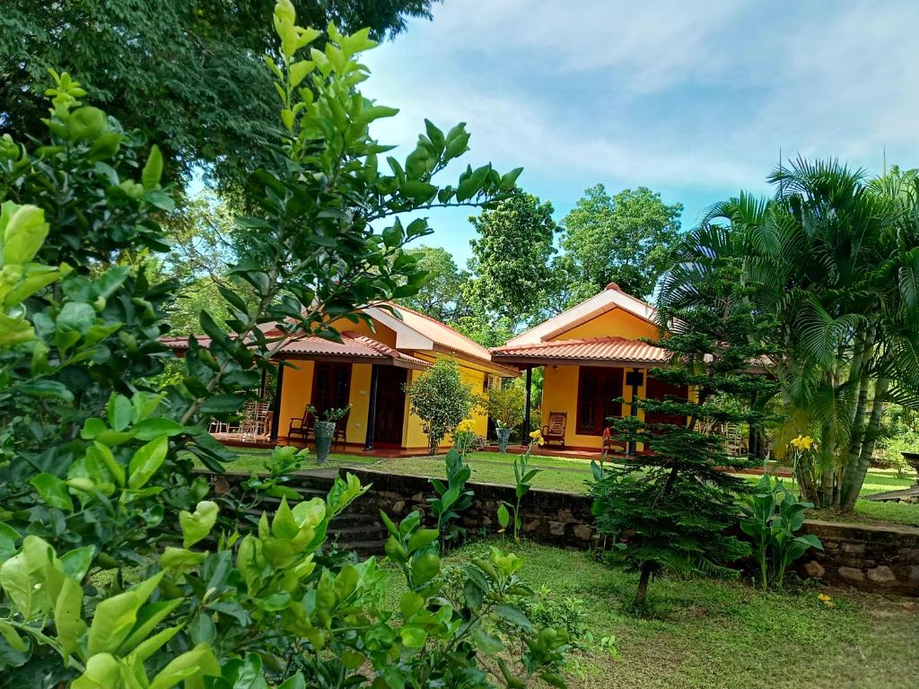 una piccola casa gialla in mezzo agli alberi di Amazon Cabanas a Tissamaharama