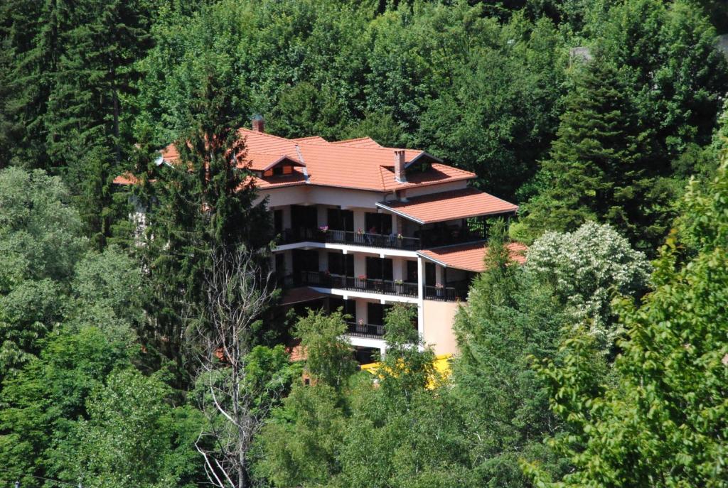 a large building in the middle of a forest at Family Hotel Ilinden in Shipkovo