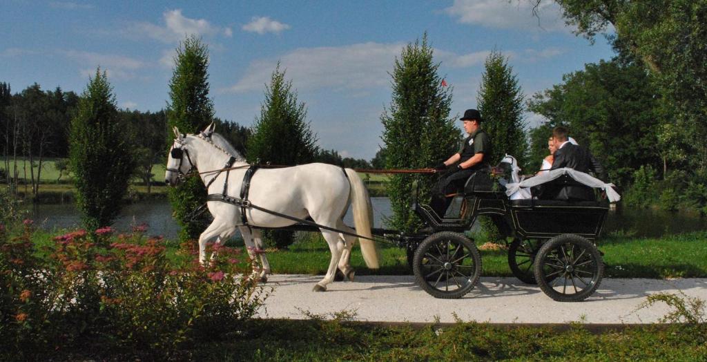 Hosté ubytování Statek Sedlečko