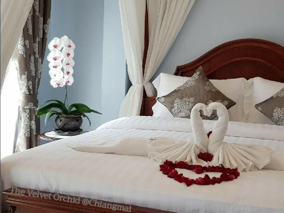 The Velvet Orchid - Resim 10