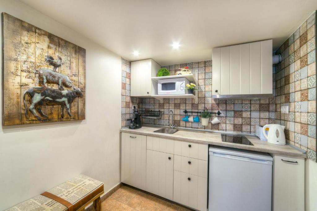 Kuchyň nebo kuchyňský kout v ubytování The Mondain Apartments Budapest