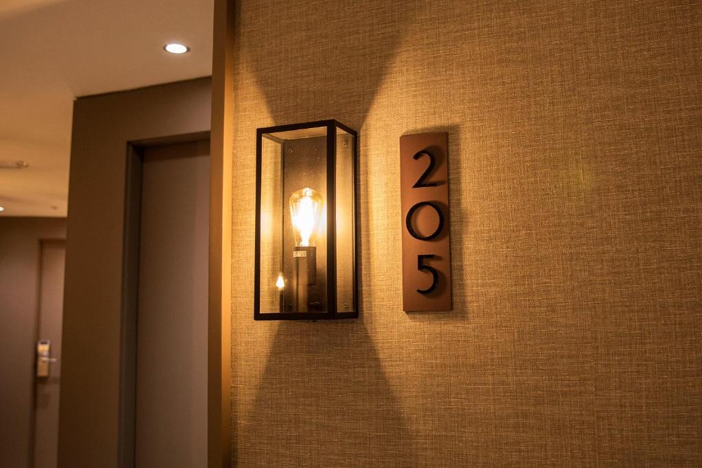 Zenit Lisboa - Resim 17