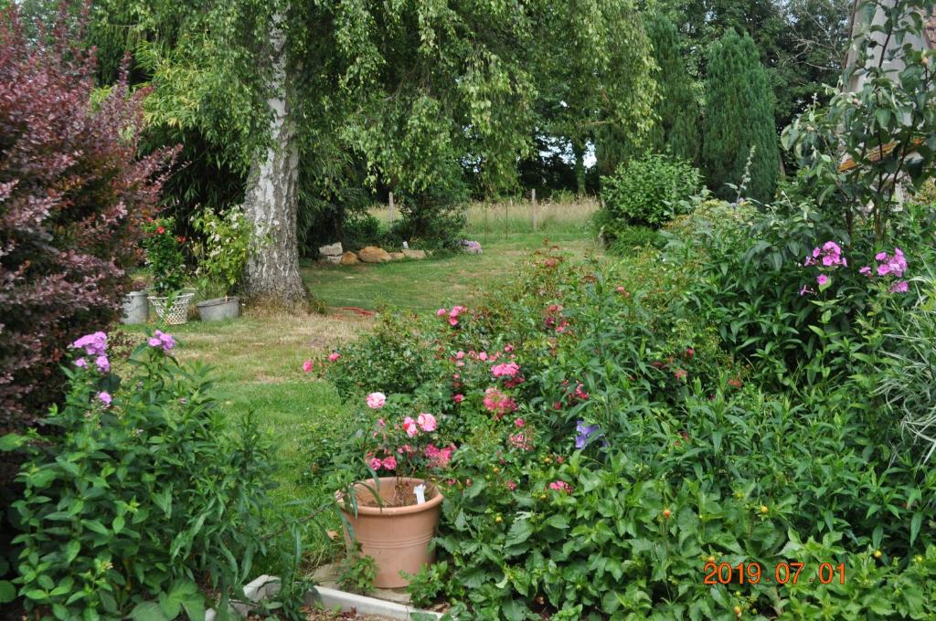 Zahrada ubytování Ma maison bleue