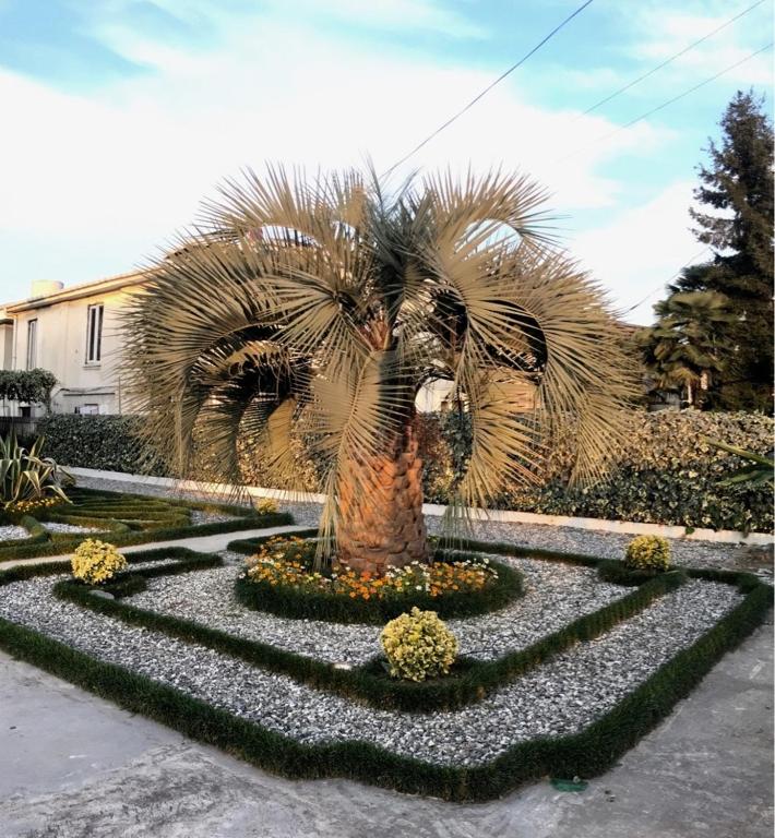 Zahrada ubytování Green Garden