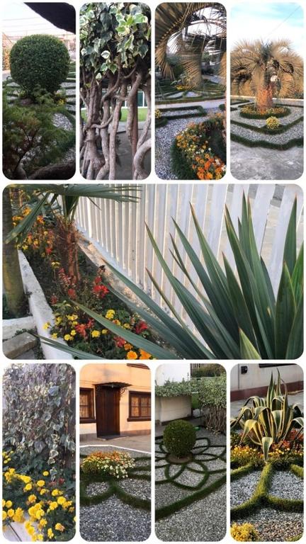 Fotografie z fotogalerie ubytování Green Garden v destinaci Zugdidi