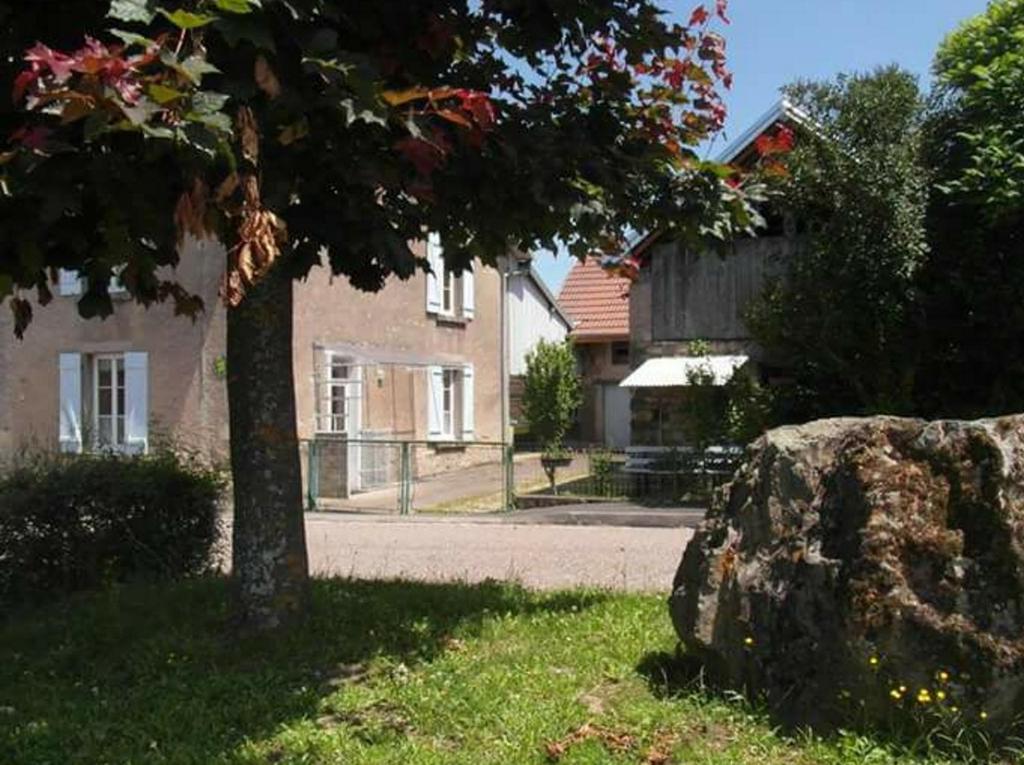 a house with a tree and a rock in the grass at Gîte Chez Deplante in Breurey-lès-Faverney