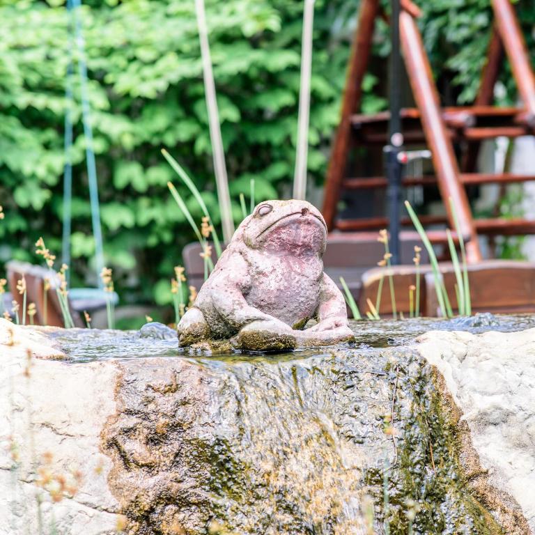 Foto sihtkohas Kalladorf asuva majutusasutuse Weingut Burger galeriist