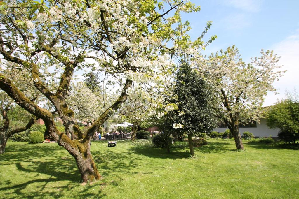 Bundt's Hotel & Gartenrestaurant - Resim 38