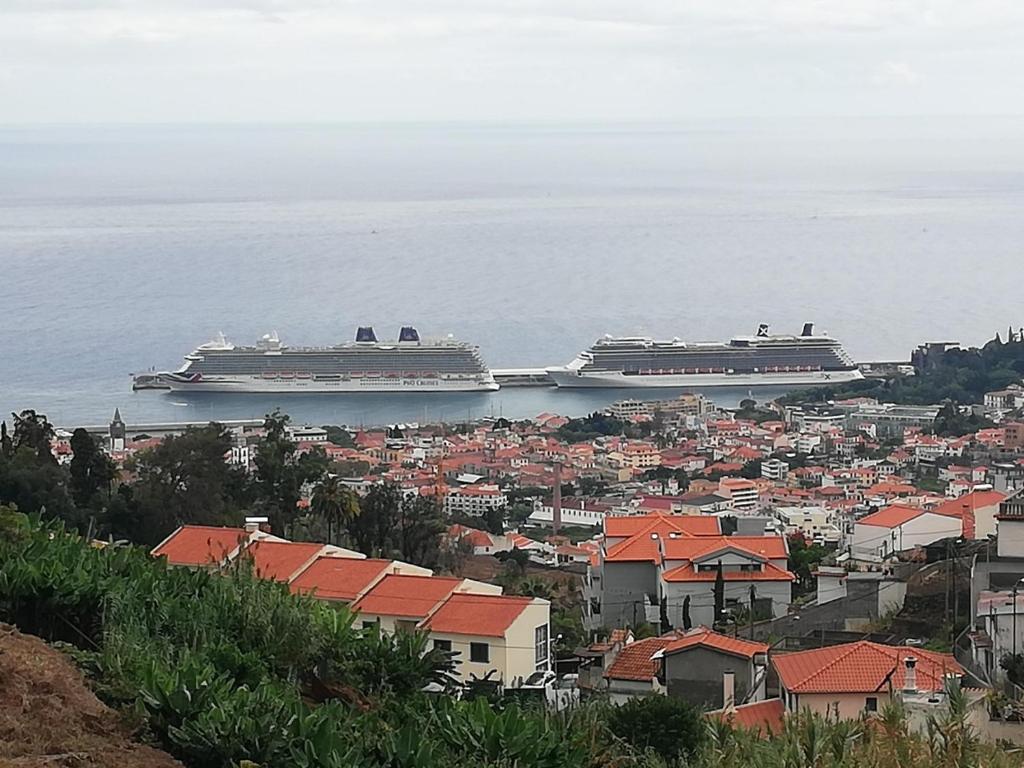 dwa statki wycieczkowe w wodzie w pobliżu miasta w obiekcie House Joel & Sonia with sea view w Funchal