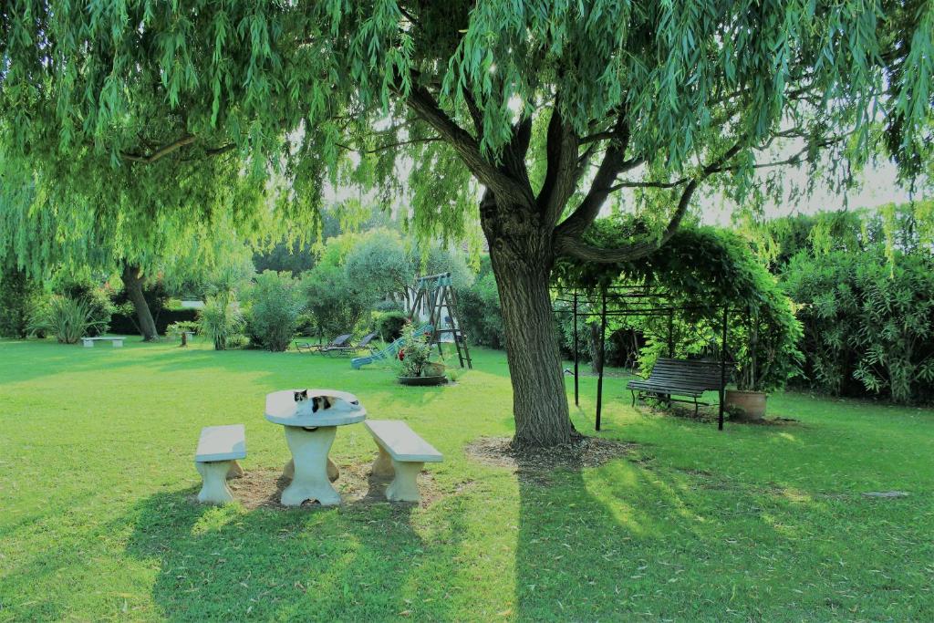 Zahrada ubytování Gîtes maisons de vacances Domaine la Chamade Carpentras