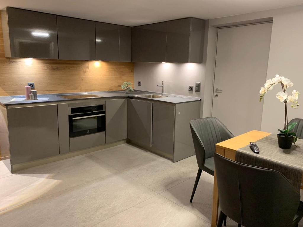 Kuchyň nebo kuchyňský kout v ubytování Kirchplatz Apartment Lupus & Cervus