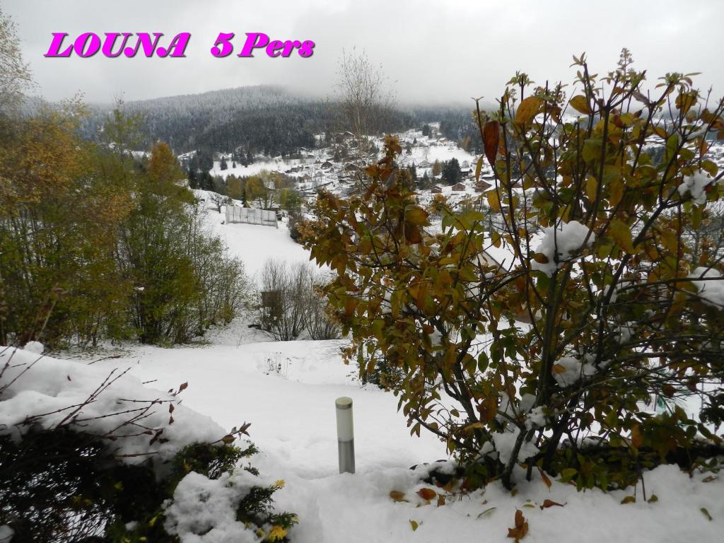 Appartements 5 Personnes MAYA et LOUNA v zimě
