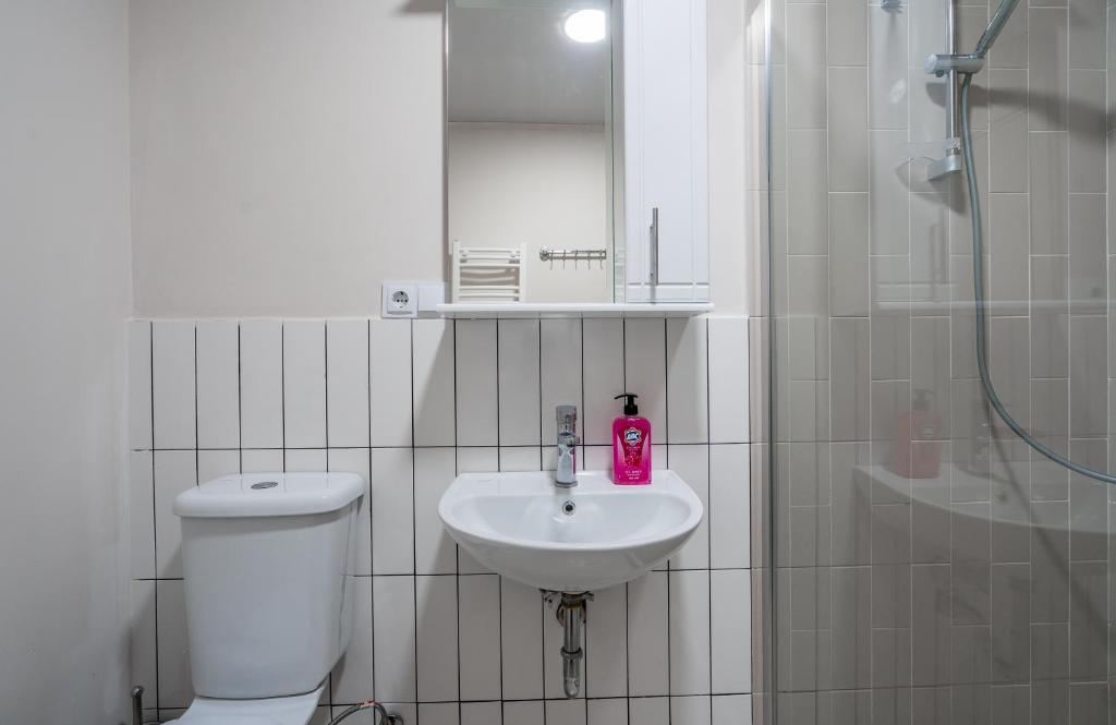 Koupelna v ubytování 2-room Apartment NFT Vista Gudauri 17- Near Ski Lift