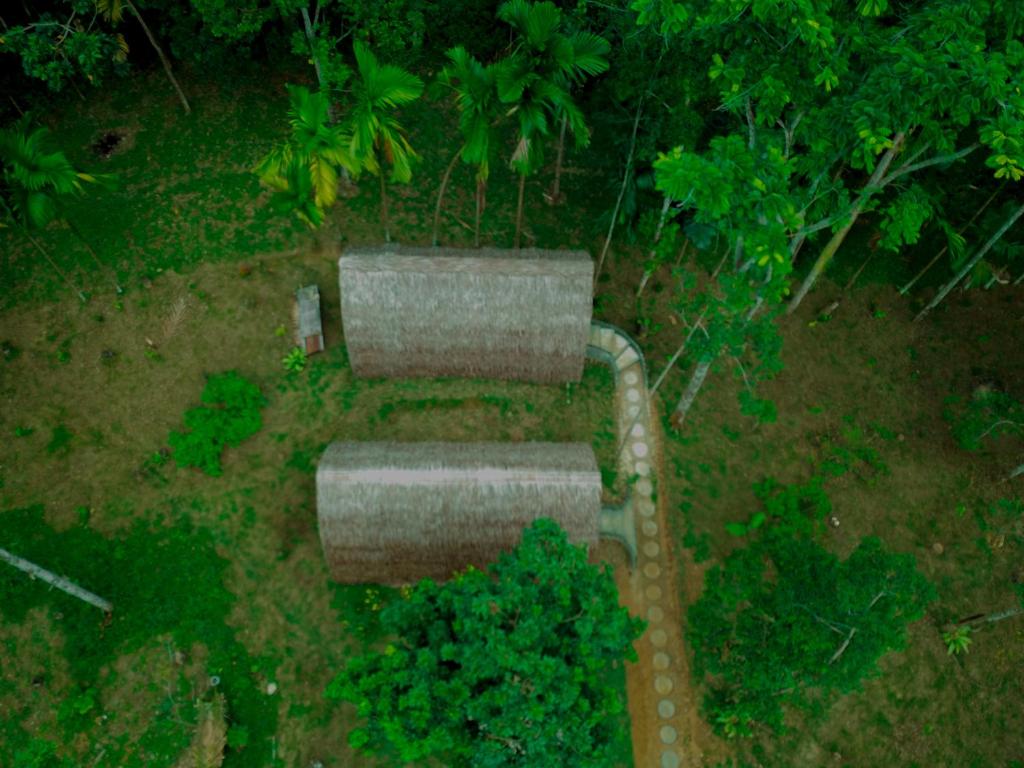 Fotografie z fotogalerie ubytování Orangutan Bungalow v destinaci Bukit Lawang