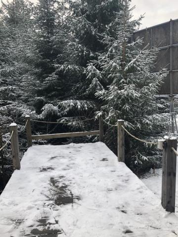 Horský Chalet Harrachov v zimě