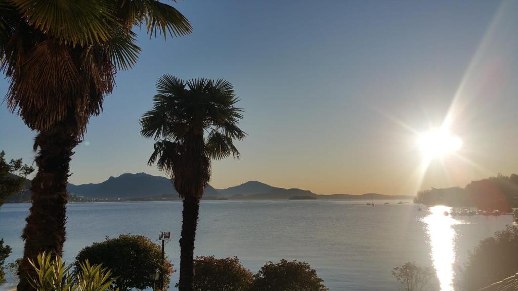 a view of the water with palm trees at Ca' d'Alfonso in Baveno