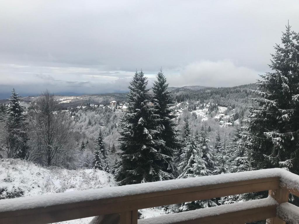 Peisaj natural din apropierea acestui apartament