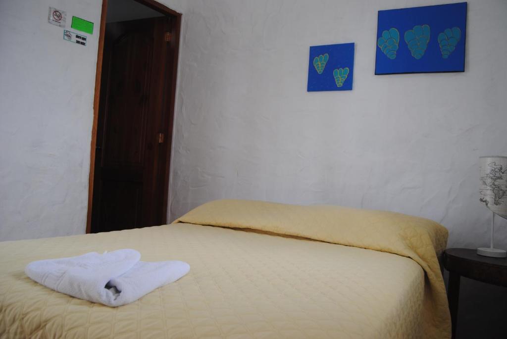 Postel nebo postele na pokoji v ubytování Hostal Galapagos by Bar de Beto