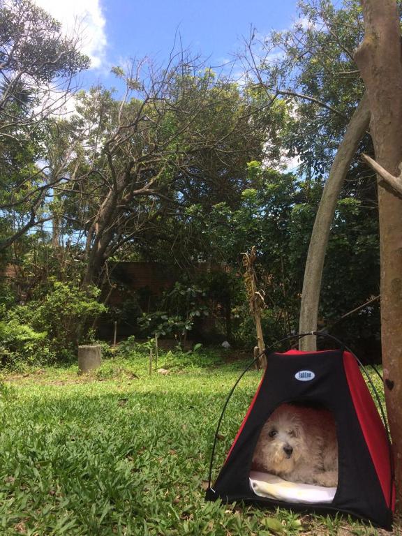  Morro das Pedras Surf Camp