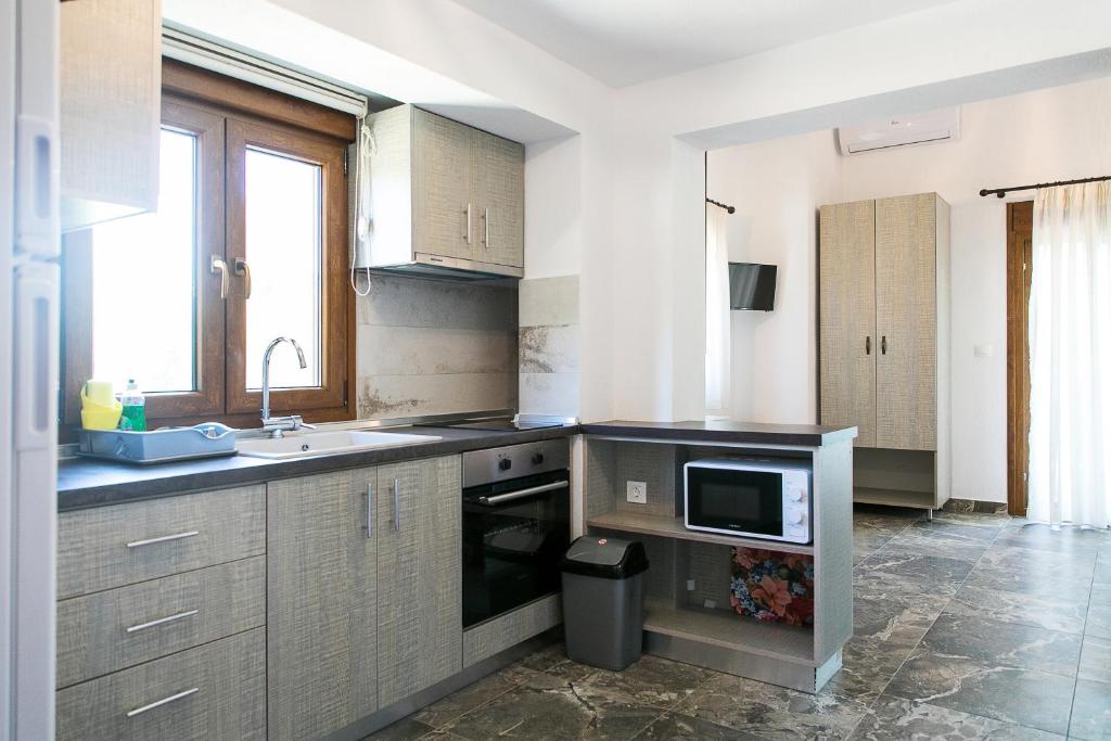 a kitchen with a sink and a microwave at Alexandros Hotel Apartments in Vourvourou