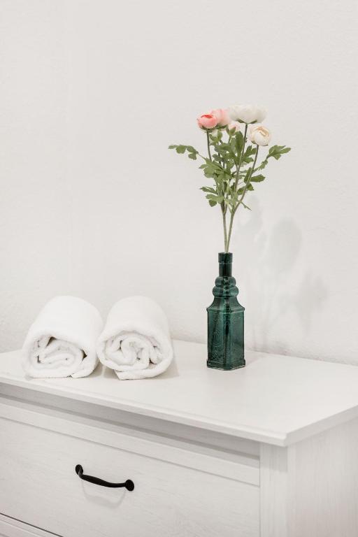 Grand Budapest Apartments - Resim 24