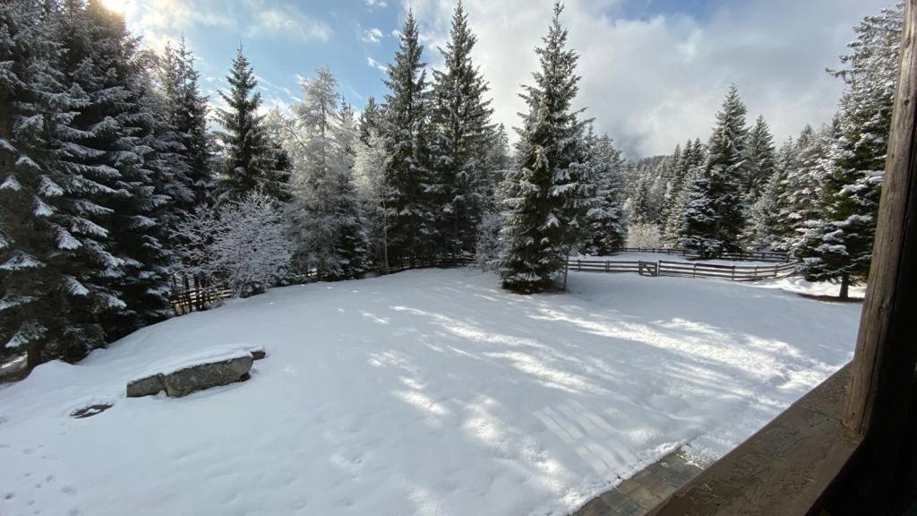 Chalet Franz during the winter