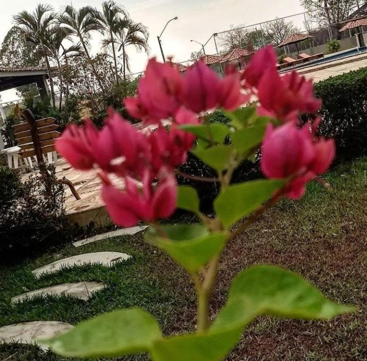  Pousada Recanto dos Passaros