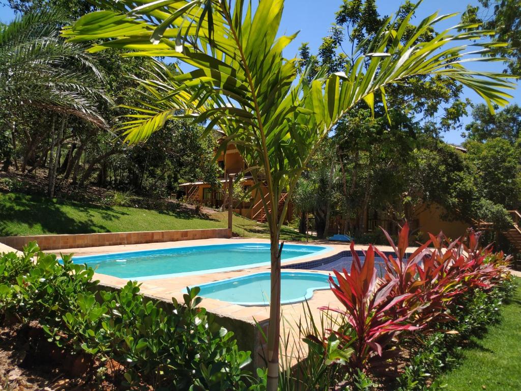 una palma accanto alla piscina di Vila Hen Praia do Forte - Studios com Varanda e Piscina - Quintas do Castelo da Torre - Reserva Sapiranga - 3,6km da Vila a Praia do Forte