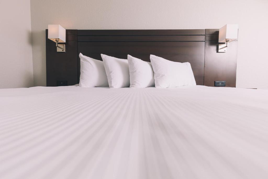 Postel nebo postele na pokoji v ubytování Service Plus Inns and Suites